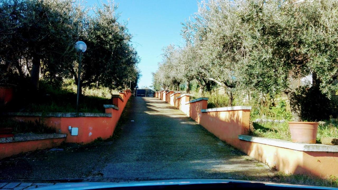 Locazione Turistica Dream House Marzia Villa Рим Екстериор снимка